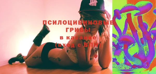 тгк Арсеньев