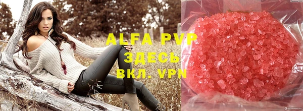 амф Аркадак