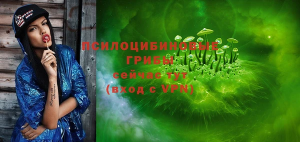 тгк Арсеньев