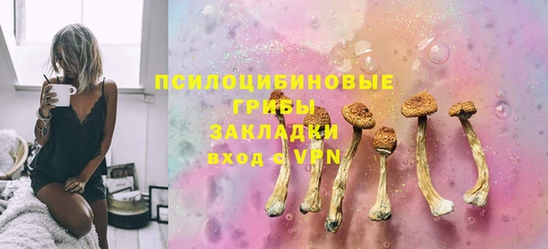 амф Аркадак