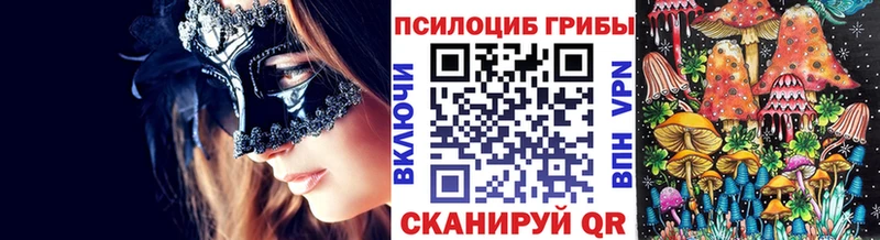 Галлюциногенные грибы Psilocybe  kraken ТОР  Кумертау 